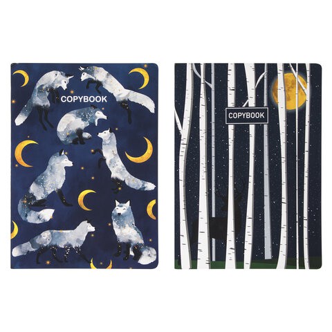 Тетради В5 Brauberg SoftTouch Ночь 60 листов, в точку (2 шт) 403829 цена за 2 шт , 